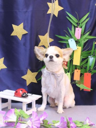 20230709くうくん